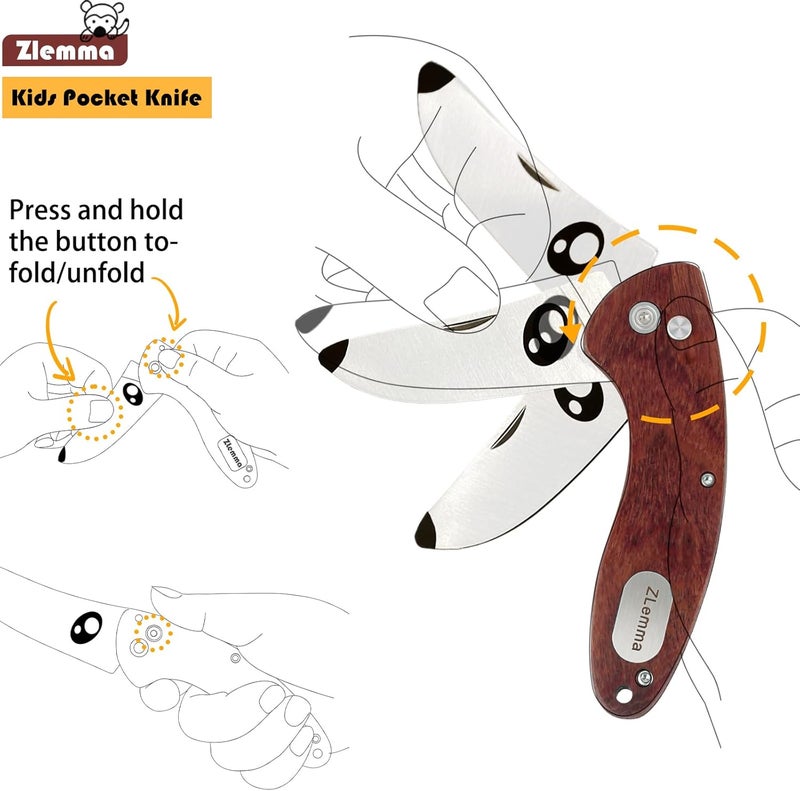 ZLemma Kids Pocket Knife with Sheath Set - Stainless Steel Children’s Folding Pocket Knife with Safety Rounded Tip - Image 2